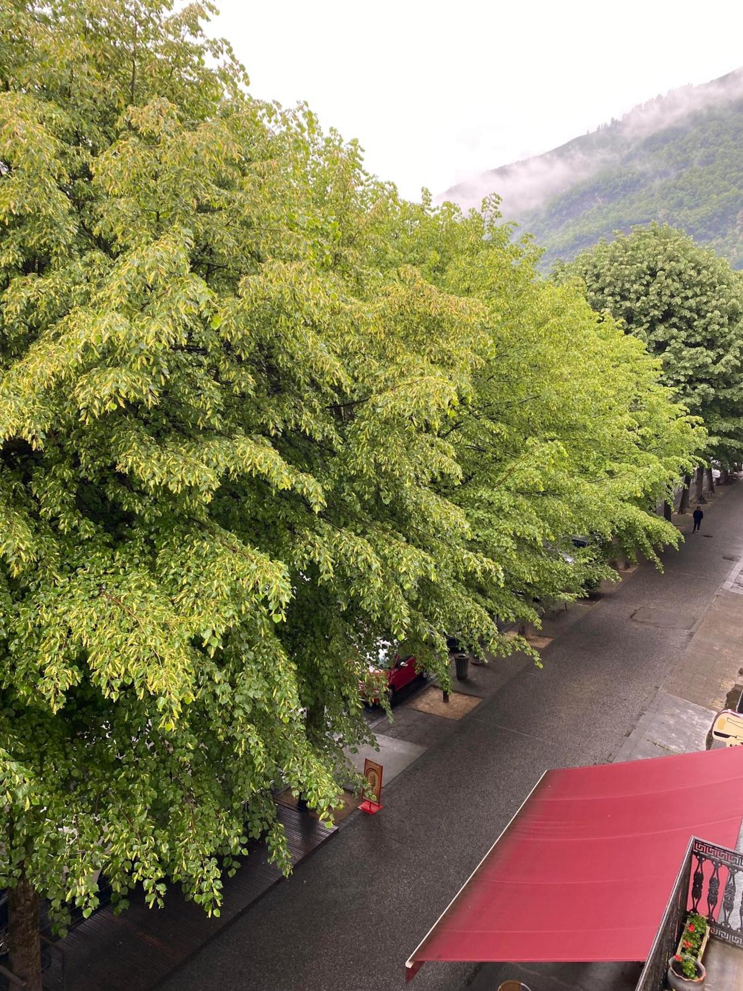 Au 47 Allees D'Etigny - Central & Standing - Avec Parking - Linge De Lit Et De Toilette Inclus Bagnères-de-Luchon Buitenkant foto